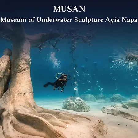 Villa Sea Pearl Seaview - Oriana